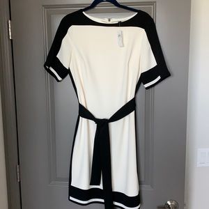 Ann Taylor, Shirt Dress, NWT